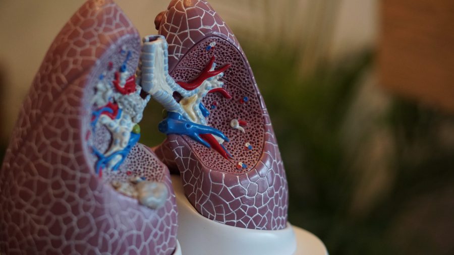 Chronic obstructive pulmonary disease (COPD) and sleep apnea, plastic lungs